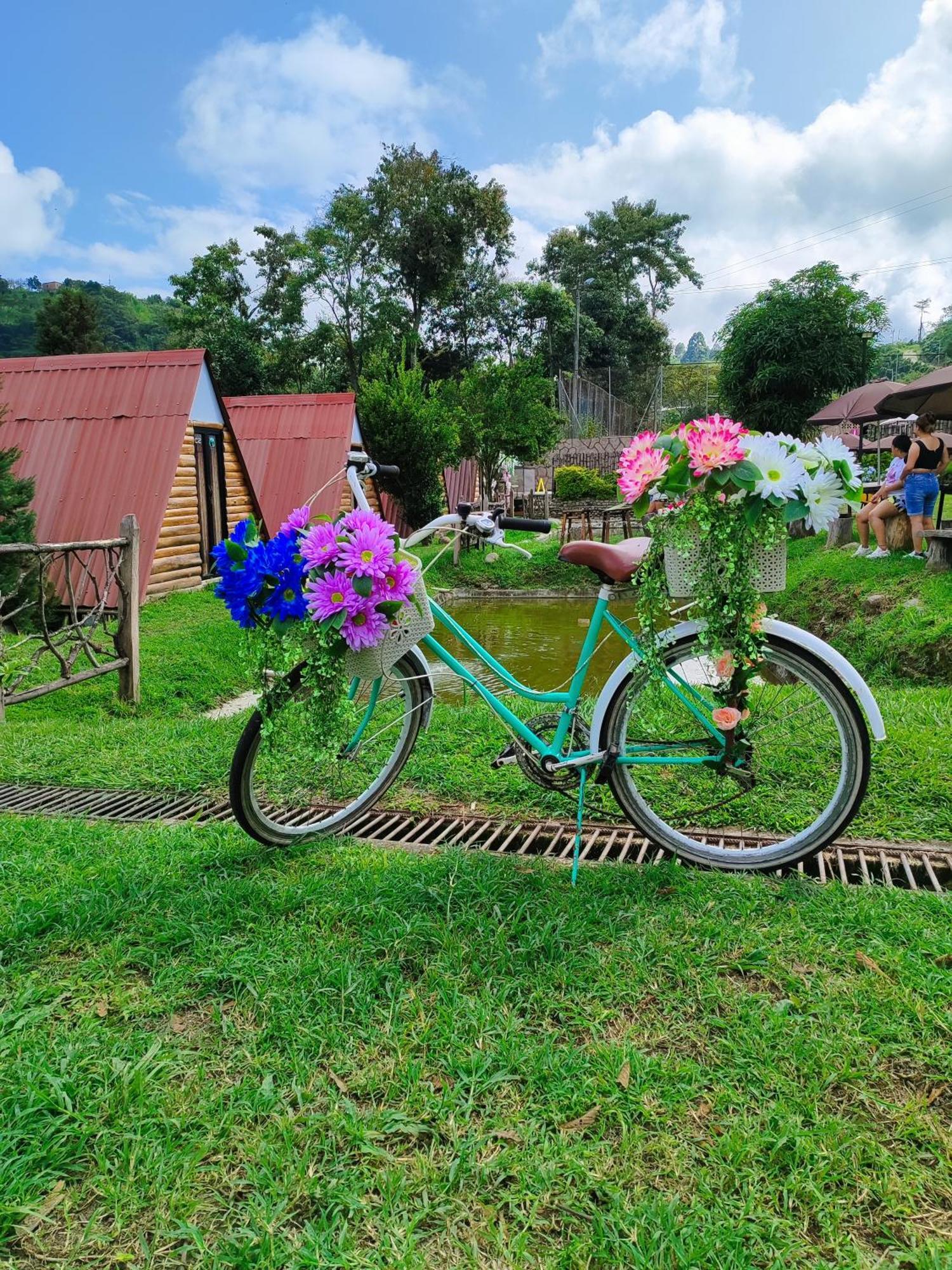 Ecohotel Java Manizales Pokoj fotografie